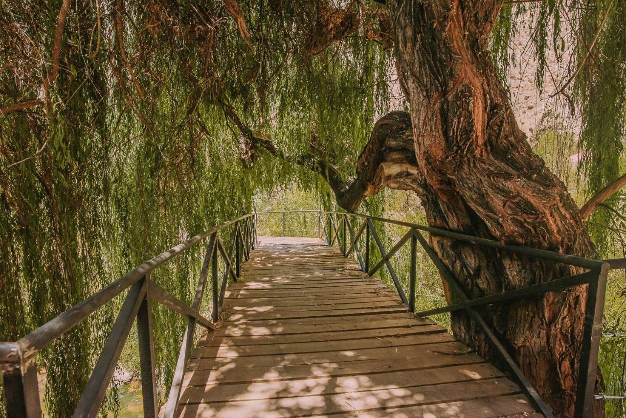 Hotel Vivelo Elqui Landscape Horcon  ภายนอก รูปภาพ